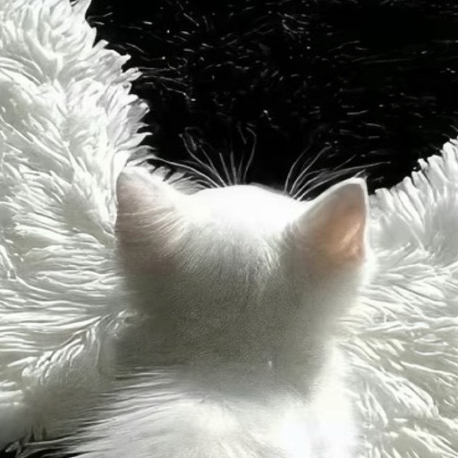 🧉
